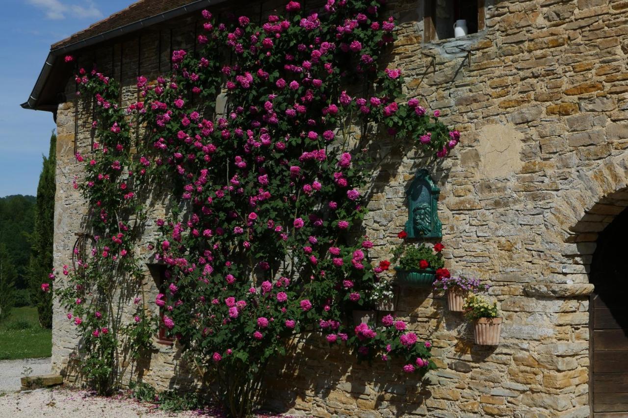 Chambres D'Hotes Secret Pyrenees Lasseube Exterior foto